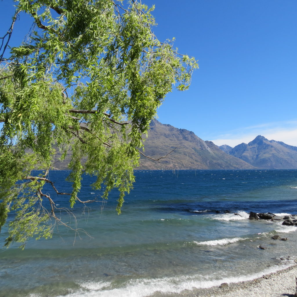 Top 12 Things To Do in Queenstown - Why You Wander